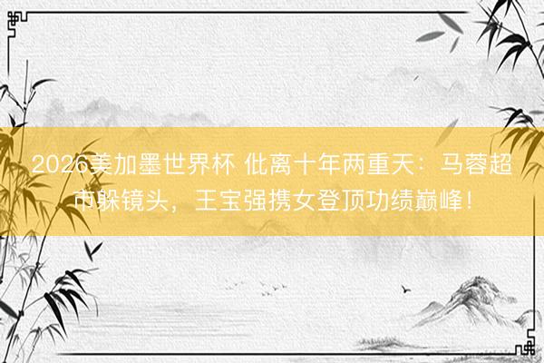 2026美加墨世界杯 仳离十年两重天：马蓉超市躲镜头，王宝强携女登顶功绩巅峰！