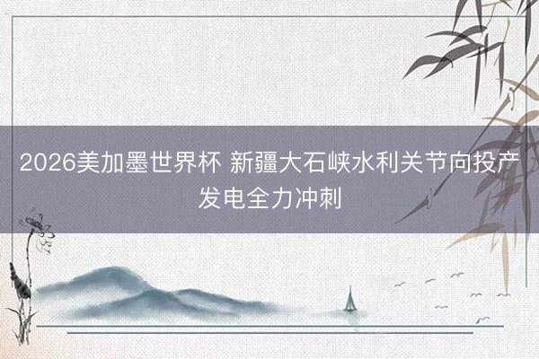 2026美加墨世界杯 新疆大石峡水利关节向投产发电全力冲刺