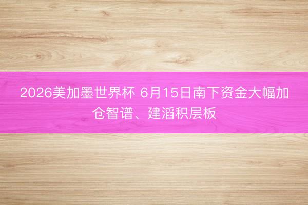 2026美加墨世界杯 6月15日南下资金大幅加仓智谱、建滔积层板