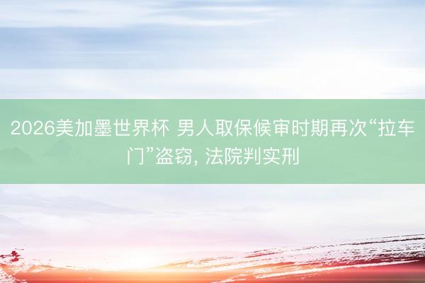 2026美加墨世界杯 男人取保候审时期再次“拉车门”盗窃, 法院判实刑
