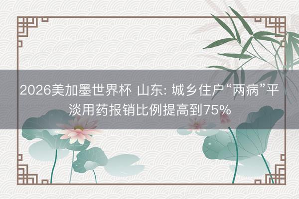 2026美加墨世界杯 山东: 城乡住户“两病”平淡用药报销比例提高到75%