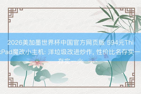 2026美加墨世界杯中国官方网页版 594元ThinkPad魔改小主机: 洋垃圾改进炒作, 性价比名存实一火